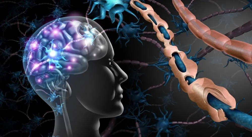 Physical Therapy for MS